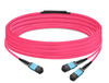 Scheda Tecnica: NVIDIA Passive Fiber Cable, Mmf, Mpo12 APC To 2xmpo12 APC - 50m