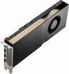 Scheda Tecnica: PNY NVIDIA RTX A2000 2S/LP PCIe 4.0x16, 3328 Cuda Core, 70W - OEM, 12GB GDDR6 ECC, 4 x mDP1.4a, 2 Slot