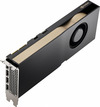 Scheda Tecnica: PNY NVIDIA RTX A2000 LP - 12GB GDDR6, 194bit, 3328 Cuda, 184TMSu,4DP,2 Slot, OEM