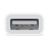 Scheda Tecnica: Apple Cavo Lightning A USB Camera ADApter - 