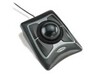 Scheda Tecnica: Kensington Trackballs - Expert Mouse 64325 wired Win/Mac Usb/Ps2