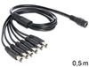 Scheda Tecnica: Delock Cable Dc Splitter 5.5 X 2.1 Mm - 1 X Female > 6 X Male