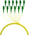 Scheda Tecnica: IC INTRACOM OEM Pigtail Fibra Ttica - Monomodale S2 Lc/apc G652d 2m Giallo