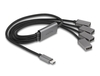 Scheda Tecnica: Delock 4 Port USB 2.0 Cable Hub With USB Type-c Connector - 60 Cm