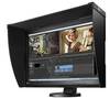 Scheda Tecnica: EIZO ColorEdge Cg2x Monitor con Palpebra - 24" 1920 1200, Autocalibrante, DVI, DP, USB