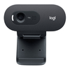 Scheda Tecnica: Logitech C505e Webcam - 