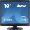 Scheda Tecnica: iiyama Prolite E1980d B1 Monitor LED 19" 1280x1024 @ 60 - Hz Tn 250 Cd/m 1000:1 5 Ms Dvi, VGA Nero Opaco
