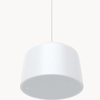 Scheda Tecnica: Axis C1510 Network Pendant Speaker - 