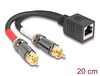 Scheda Tecnica: Delock Adapter Cable RJ45 Jack To 2 X Rca Male Black 20 Cm - 