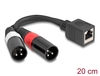 Scheda Tecnica: Delock Adapter Cable RJ45 Jack To 2 X Xlr 3 Pin Plug Black - 20 Cm
