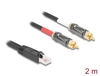 Scheda Tecnica: Delock Adapter Cable RJ45 Plug To 2 X Rca Male Black 2 M - 