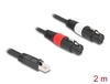 Scheda Tecnica: Delock Adapter Cable RJ45 Plug To 2 X Xlr 3 Pin Jack Black - 2 M