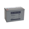 Scheda Tecnica: EAton Battery Block F/ Pulsar/evol Batteriesatz 7590102 - 