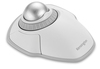 Scheda Tecnica: Kensington Orbit With Scroll Ring Wireless Trackball - - White