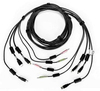Scheda Tecnica: Vertiv CBL0129 10ft. KVM Cable Assembly 2-HDMI/1-USB/2udio - 