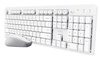 Scheda Tecnica: Trust Mouse - Keyboard ODY II WL WHT DE GR