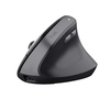Scheda Tecnica: Trust Mouse - BAYO II ERGONOMIC WIRELESS