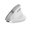 Scheda Tecnica: Trust Mouse - BAYO II ERGONOMIC WIRELESS WHT