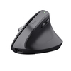 Scheda Tecnica: Trust Mouse - BAYO+ ERGONOMIC WIRELESS