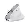 Scheda Tecnica: Trust Mouse - BAYO+ ERGONOMIC WIRELESS WHT