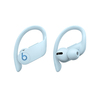 Scheda Tecnica: Apple Powerbeats Pro - Totally Wireless Earphones Glacier Blue