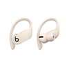 Scheda Tecnica: Apple Powerbeats Pro - Totally Wireless Earphones - Ivory