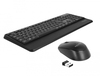 Scheda Tecnica: Delock mouse Keyboard USB and Set 2,4 GHz kabellos Black - (Handballentolage)