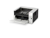Scheda Tecnica: Kodak Scanner S2085F . IN - 