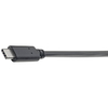 Scheda Tecnica: EAton Tripp Lite 6" USB 3.1 Gen1 5GBps Cable USB - Type-c USB-c To USB Type M/F 6" Cavo USB USB Tipo (f) USB-c