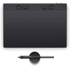 Scheda Tecnica: Wacom Intuos Pro Pen Tablet Medium - 