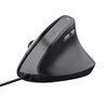 Scheda Tecnica: Trust Bayo Ii Ergonomic Mouse - 