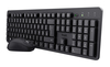 Scheda Tecnica: Trust Bundle Tkm-360 Keyb. + Mouse Wireless - 