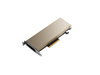 Scheda Tecnica: HPE NVIDIA A2 16GB PCIe-stock - 