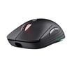Scheda Tecnica: Trust Mouse - GXT926 REDEX II WIRELESS IN