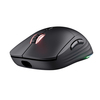 Scheda Tecnica: Trust Mouse - GXT927 REDEX+ HIGH PERF WRLS IN