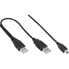 Scheda Tecnica: InLine Cavo Mini USB 2.0, Sdoppiatore Y, 2x Type Maschio - Type Mini-b Maschio (5pol.), 1,0m