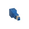 Scheda Tecnica: InLine ADAttatore USB 3.0 Type-b Maschio USB 3.0 Type-b - Femmina