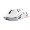 Scheda Tecnica: Trust Mouse - GXT929W HELOX WIRELESS LIGHTWEIGHT WHITE IN