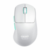 Scheda Tecnica: Cherry Mouse - M64 WIRELESS WHITE WIRELESS IN