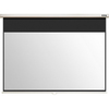 Scheda Tecnica: Acer E100-w01mwr Engine Screen 254 Cm (100 ") (254 Cm) - 16:10, White