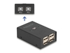 Scheda Tecnica: Delock USB 2.0 Switch 2 Pc To 4 Devices - 