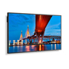 Scheda Tecnica: Sharp/NEC M651-2 Professional Display. 65'' 3840x2160, 500 - Cd/m2, Hdr 24/7 ,1 x DisplayPort, 2 x HDMI