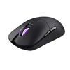 Scheda Tecnica: Trust Gxt980 Redex Wireless Mouse - 
