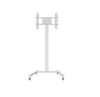 Scheda Tecnica: ITB Carrello Vesa 600d00 Silver - 