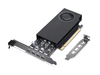 Scheda Tecnica: Lenovo NVIDIA RTX A1000 8GB Mini-DP4 Gddr6 Graphics Card In - 