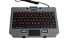Scheda Tecnica: Gamber-Johnson Keyboard - 7160-1683-03 RUGGED LITE BACKLIT FRENCH. FR