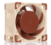 Scheda Tecnica: Noctua NF-A4X20 5V 40x40x20mm, 3-pin, 5000rpm, 14.9dB, 5V - 