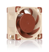 Scheda Tecnica: Noctua NF-A4X20 PWM 40x40x20 mm, 4-Pin PWM, 1200-5000 RPM - 12.2/14.9 dB, 0.6 W, 5-12 V