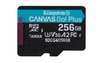 Scheda Tecnica: Kingston Sdxc 256GB M CANVAS GO PLUS 200R GEN4 A2 U3 SINGLE - PACK W/O ADP
