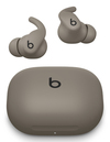 Scheda Tecnica: Apple Powerbeats Fit - Gravel Grey